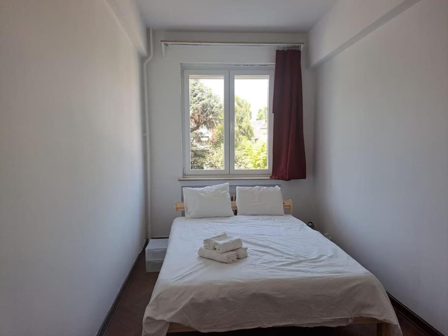 Spacious Apartment Next To Parc Du Cinquantenaire Брюссель Екстер'єр фото